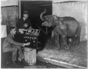 elephantradio